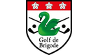 Brigode png