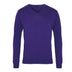 Pull col V - PR694 Pull homme : minimum 5 pièces Premier Violet 2XS 