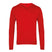Pull col V - PR694 Pull homme : minimum 5 pièces Premier Rouge 2XS 