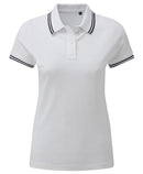 Polo tipped - AQ021 Polo femme :minimum 5 pièces Asquith & Fox Blanc /marine XS 