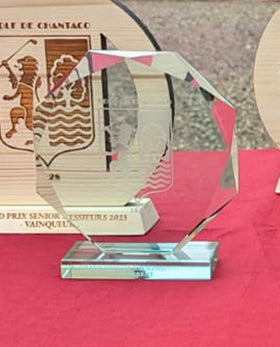 Trophée en Verre trophées: Aucun minimum de commande ULS france 