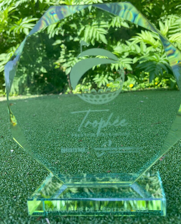 Trophée en Verre trophées: Aucun minimum de commande ULS france 17 cm 