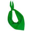 Foulard FIESTA-KP064 K-up Vert 