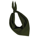 Foulard FIESTA-KP064 K-up Olive 