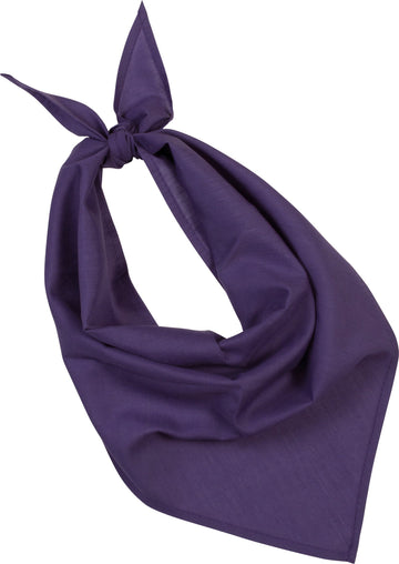 Foulard FIESTA-KP064 K-up Violet 